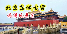 WWW226699COn中国北京-东城古宫旅游风景区